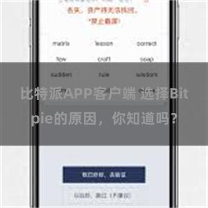 比特派APP客户端 选择Bitpie的原因，你知道吗？