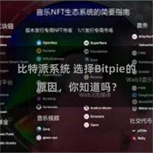 比特派系统 选择Bitpie的原因，你知道吗？