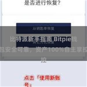 比特派新手指南 Bitpie钱包安全可靠，资产100%自主掌控