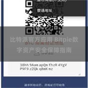 比特派官方应用 Bitpie数字资产安全保障指南