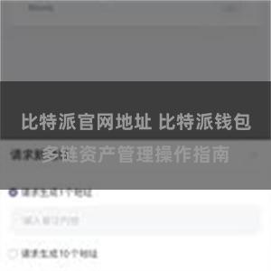 比特派官网地址 比特派钱包多链资产管理操作指南