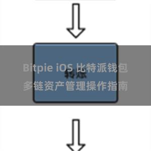 Bitpie iOS 比特派钱包多链资产管理操作指南