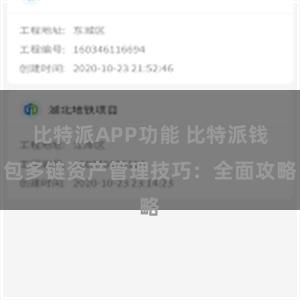 比特派APP功能 比特派钱包多链资产管理技巧：全面攻略