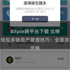 Bitpie跨平台下载 比特派钱包多链资产管理技巧：全面攻略