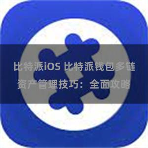 比特派iOS 比特派钱包多链资产管理技巧：全面攻略