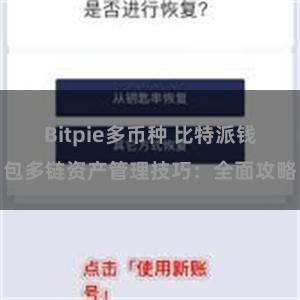 Bitpie多币种 比特派钱包多链资产管理技巧：全面攻略