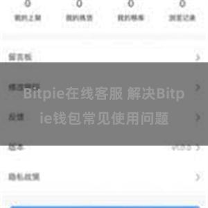 Bitpie在线客服 解决Bitpie钱包常见使用问题