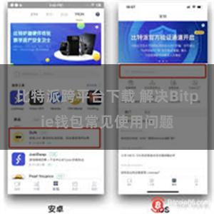 比特派跨平台下载 解决Bitpie钱包常见使用问题