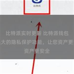 比特派实时更新 比特派钱包：强大的隐私保护功能，让您资产更安全