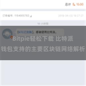 Bitpie轻松下载 比特派钱包支持的主要区块链网络解析