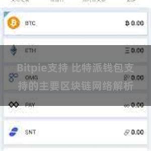 Bitpie支持 比特派钱包支持的主要区块链网络解析