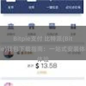 Bitpie支付 比特派(Bitpie)钱包下载指南：一站式安装体验