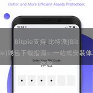 Bitpie支持 比特派(Bitpie)钱包下载指南：一站式安装体验