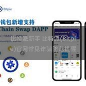 比特派新手 比特派(Bitpie)官网常见诈骗防范提醒