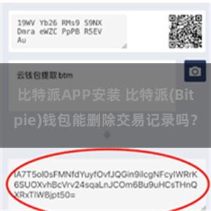 比特派APP安装 比特派(Bitpie)钱包能删除交易记录吗？