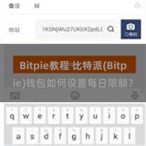 Bitpie教程 比特派(Bitpie)钱包如何设置每日限额？