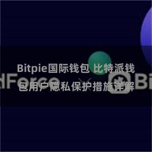 Bitpie国际钱包 比特派钱包用户隐私保护措施详解