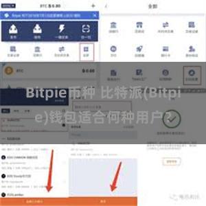 Bitpie币种 比特派(Bitpie)钱包适合何种用户？