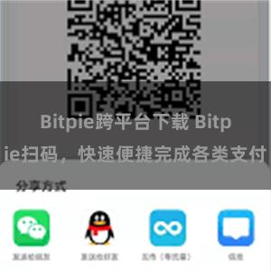 Bitpie跨平台下载 Bitpie扫码，快速便捷完成各类支付