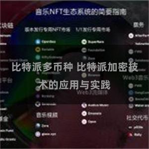 比特派多币种 比特派加密技术的应用与实践