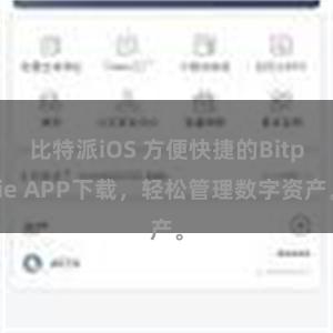 比特派iOS 方便快捷的Bitpie APP下载，轻松管理数字资产。