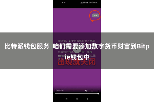 比特派钱包服务  咱们需要添加数字货币财富到Bitpie钱包中