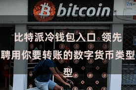 比特派冷钱包入口  领先聘用你要转账的数字货币类型