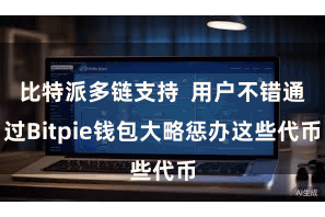 比特派多链支持  用户不错通过Bitpie钱包大略惩办这些代币