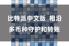 比特派中文版  相沿多币种守护和转账