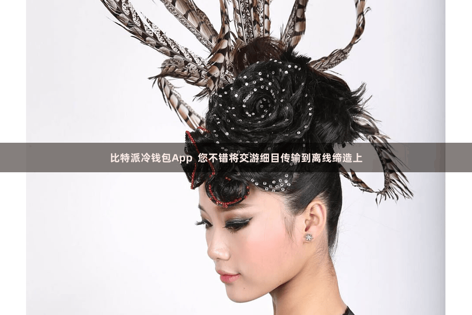 比特派冷钱包App  您不错将交游细目传输到离线缔造上
