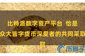 比特派数字资产平台  恰是众大皆字货币深爱者的共同采取